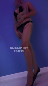 Проститутка Алматы Анкета №542966 Фотография №4076369